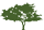 nictreefella.com.au favicon